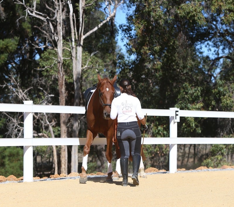 Katrin working with a horse in an outdoor arena