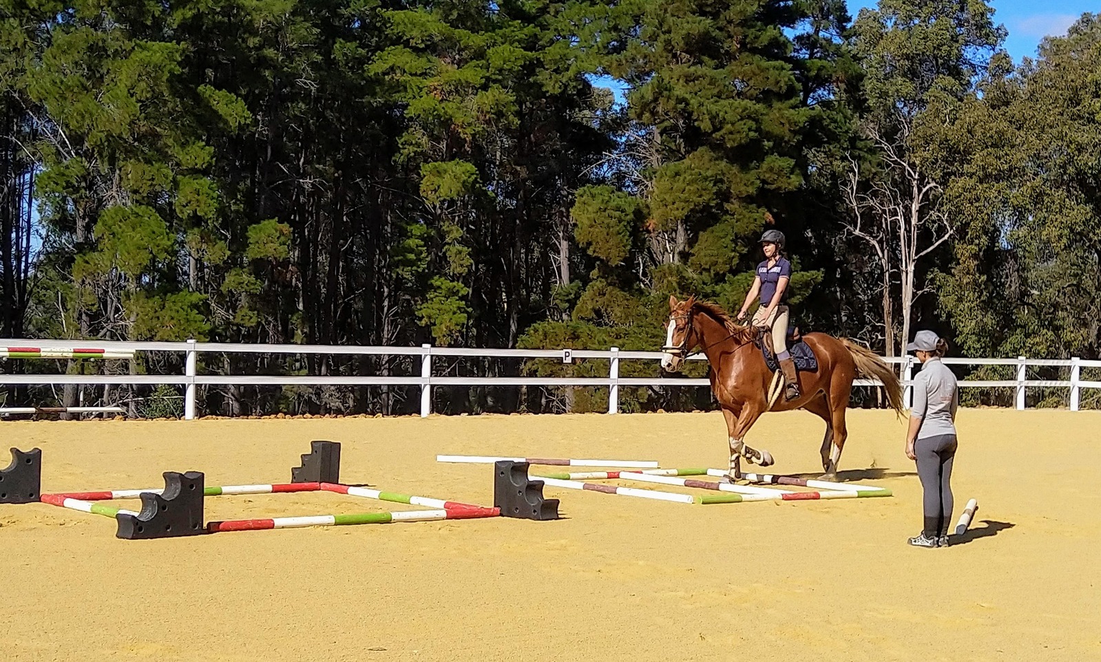 Katrin coaching a rider over ground poles in an outdoor arena