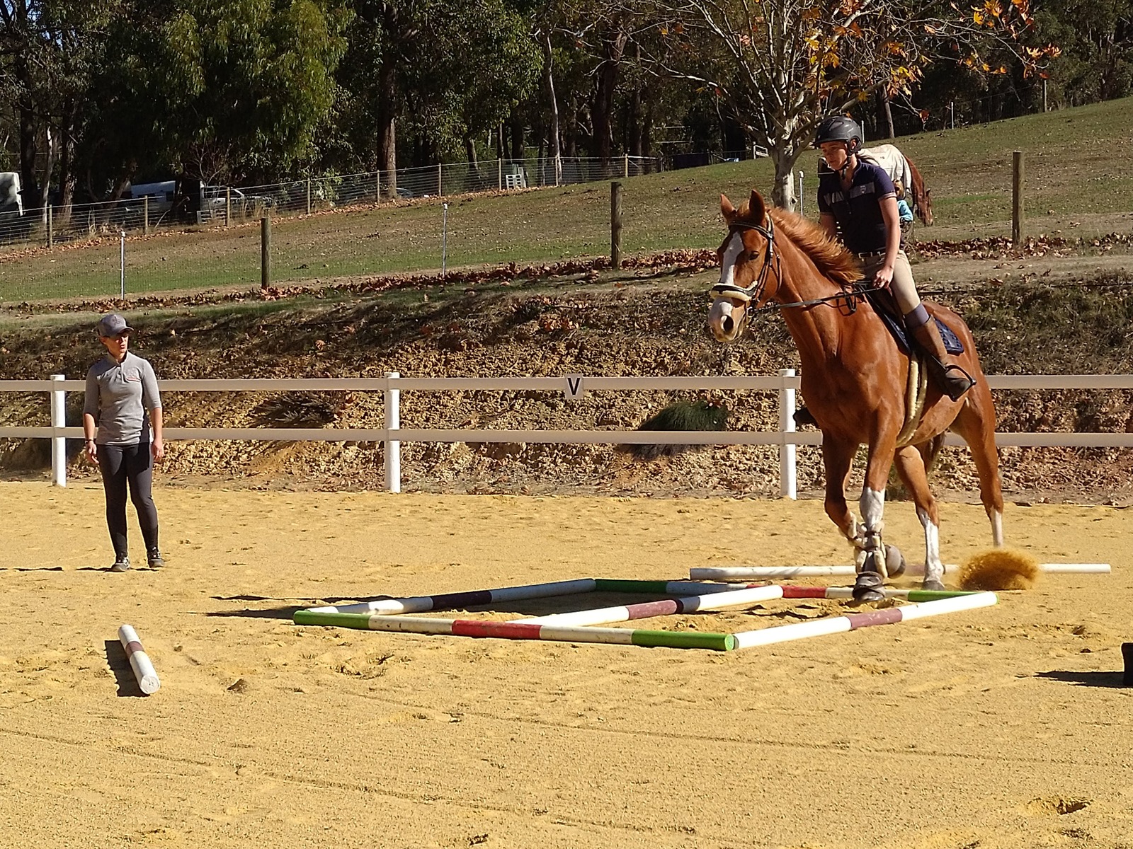 A rider practising over ground poles during a coaching session