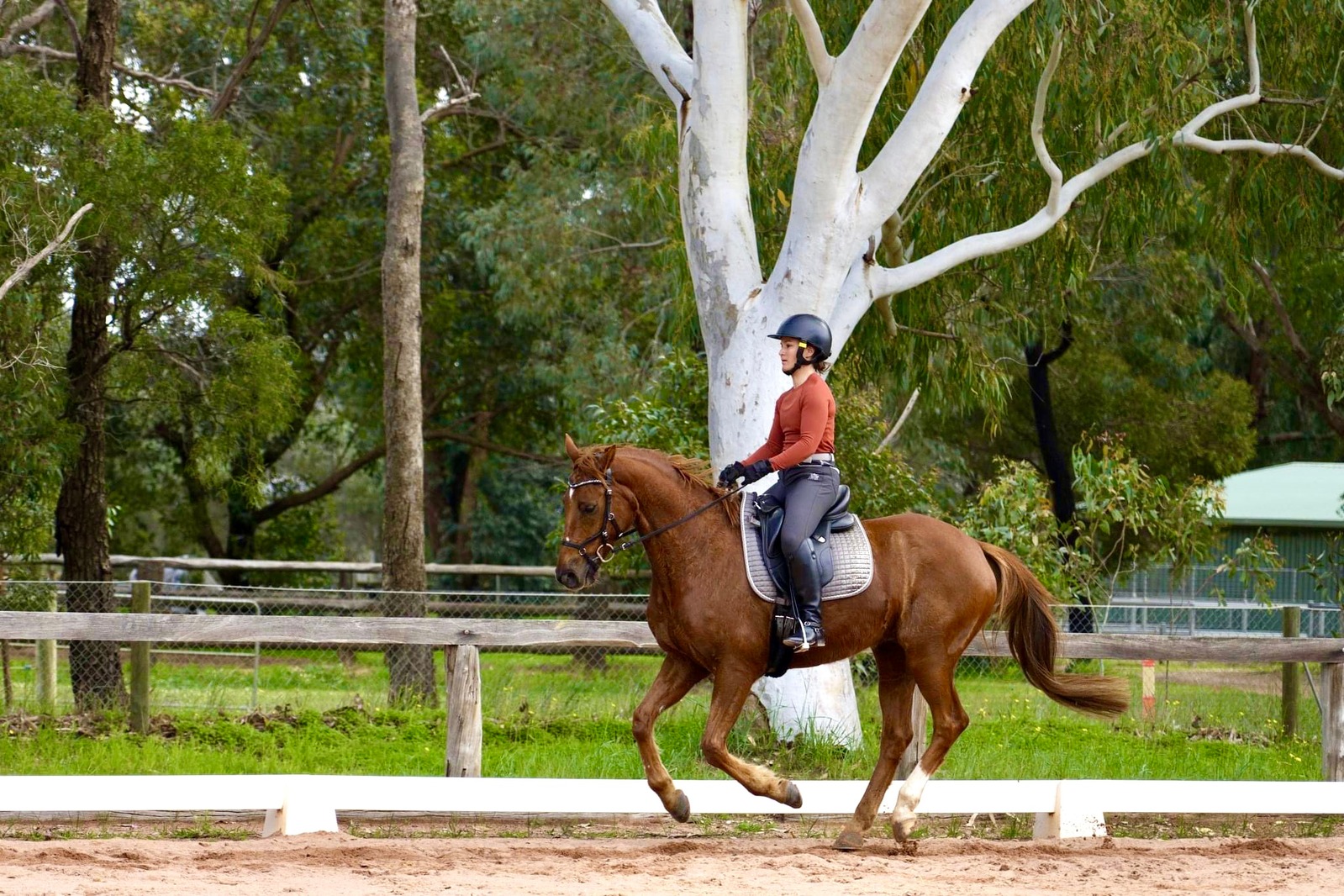Katrin riding Kalimna Luther, known as Lex